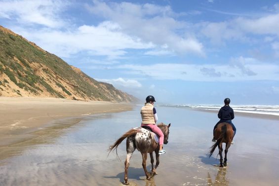 Baylys Beach Horse Treks