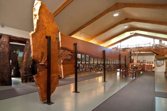 Kauri Museum